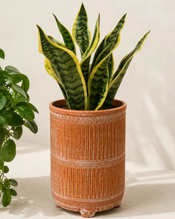 Terracotta Planter on Legs