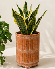 Terracotta Planter on Legs