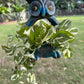 Terracotta hanging owl planter pot for home garden balcony decor