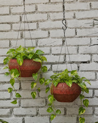 Ribbed Terracotta Hanging Planter