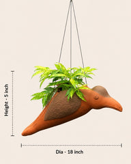Hornbill Terracotta Hanging Planter