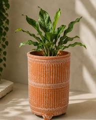 Terracotta Planter on Legs