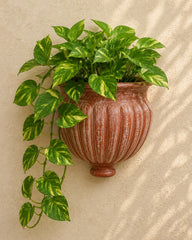 Kharbooja Terracotta Wall Planter