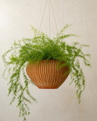 Fluted Terracotta Hanging Planter