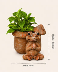 Frog Terracotta Planter with Mushroom