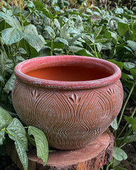 Peacock Leaf Terracotta Planter
