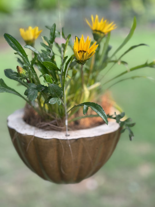 CERAMIC HANGING PLANTER POT