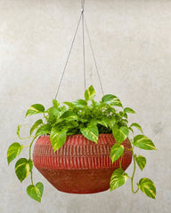 Ribbed Terracotta Hanging Planter