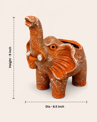 Lucky Elephant Terracotta Planter
