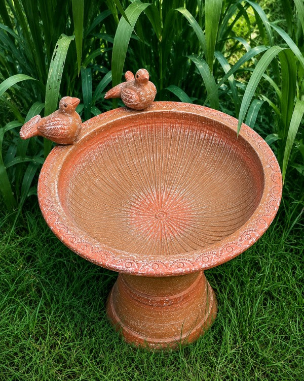Terracotta Bird Bath with Two Birds