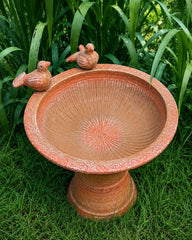Terracotta Bird Bath with Two Birds