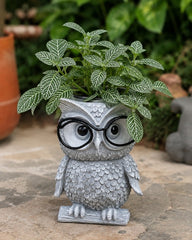 Wise Owl Planter with Glasses