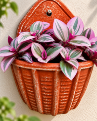 Ribbed Terracotta Wall Planter