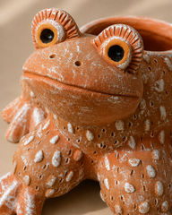 Frog Terracotta Planter
