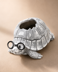 Turtle Garden Planter