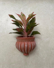 Kharbooja Terracotta Wall Planter