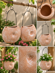 Shell Terracotta Hanging Planter