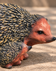 Hedgehog Garden Decor