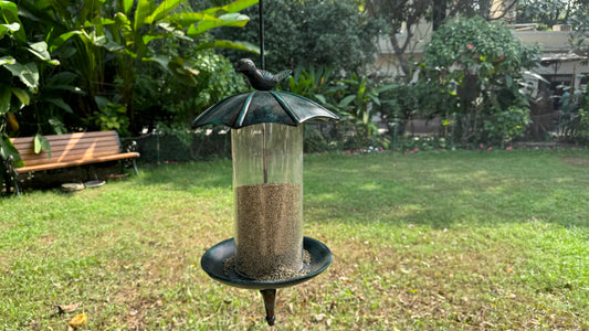 UMBRELLA  BIRD FEEDER for Home Garden Balcony decor