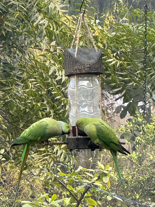 MASON JAR LOG BIRD FEEDER for Home Garden Balcony decor