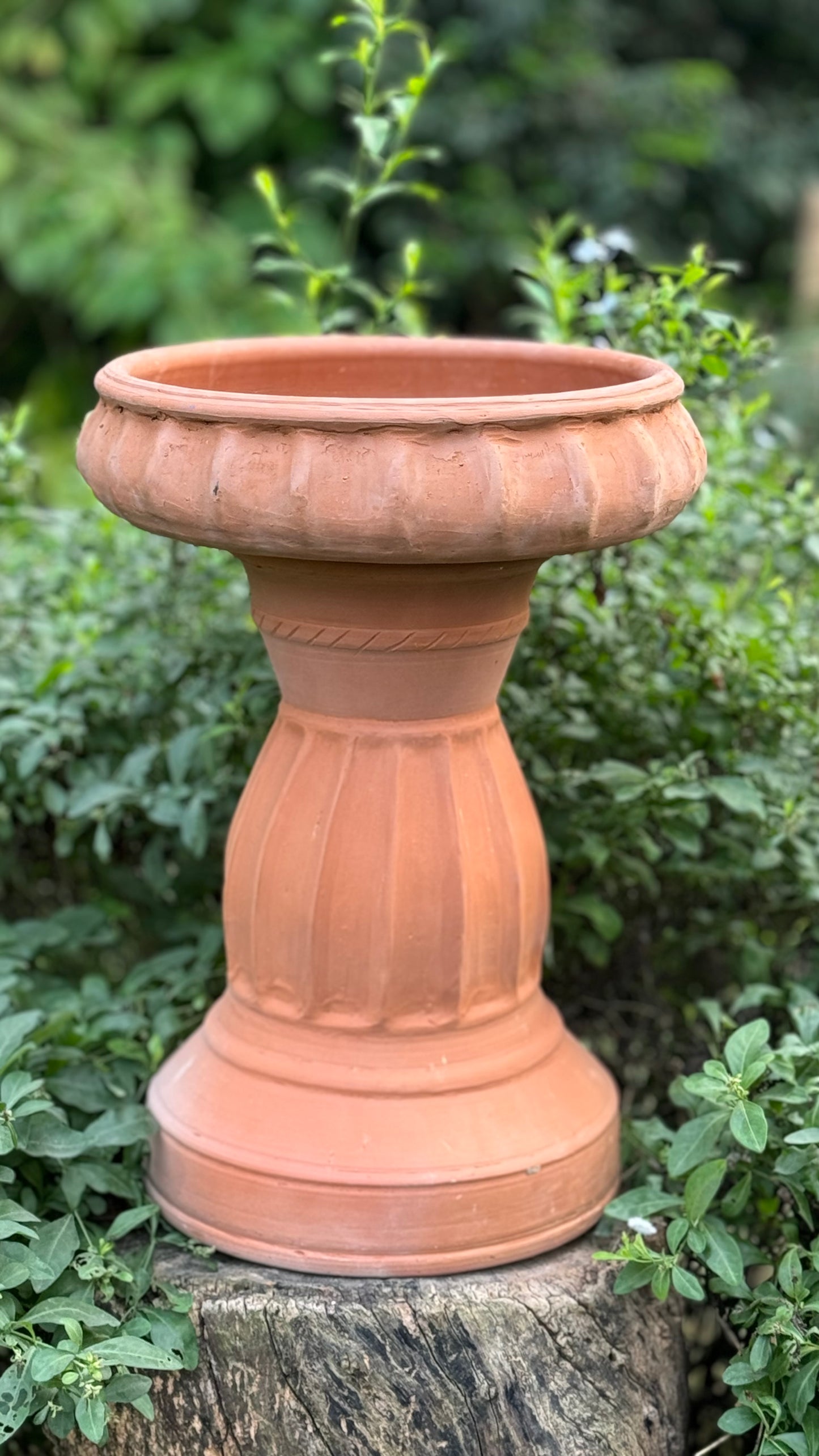 Terracotta Bird Bath with pedestal for Home Garden Balcony décor