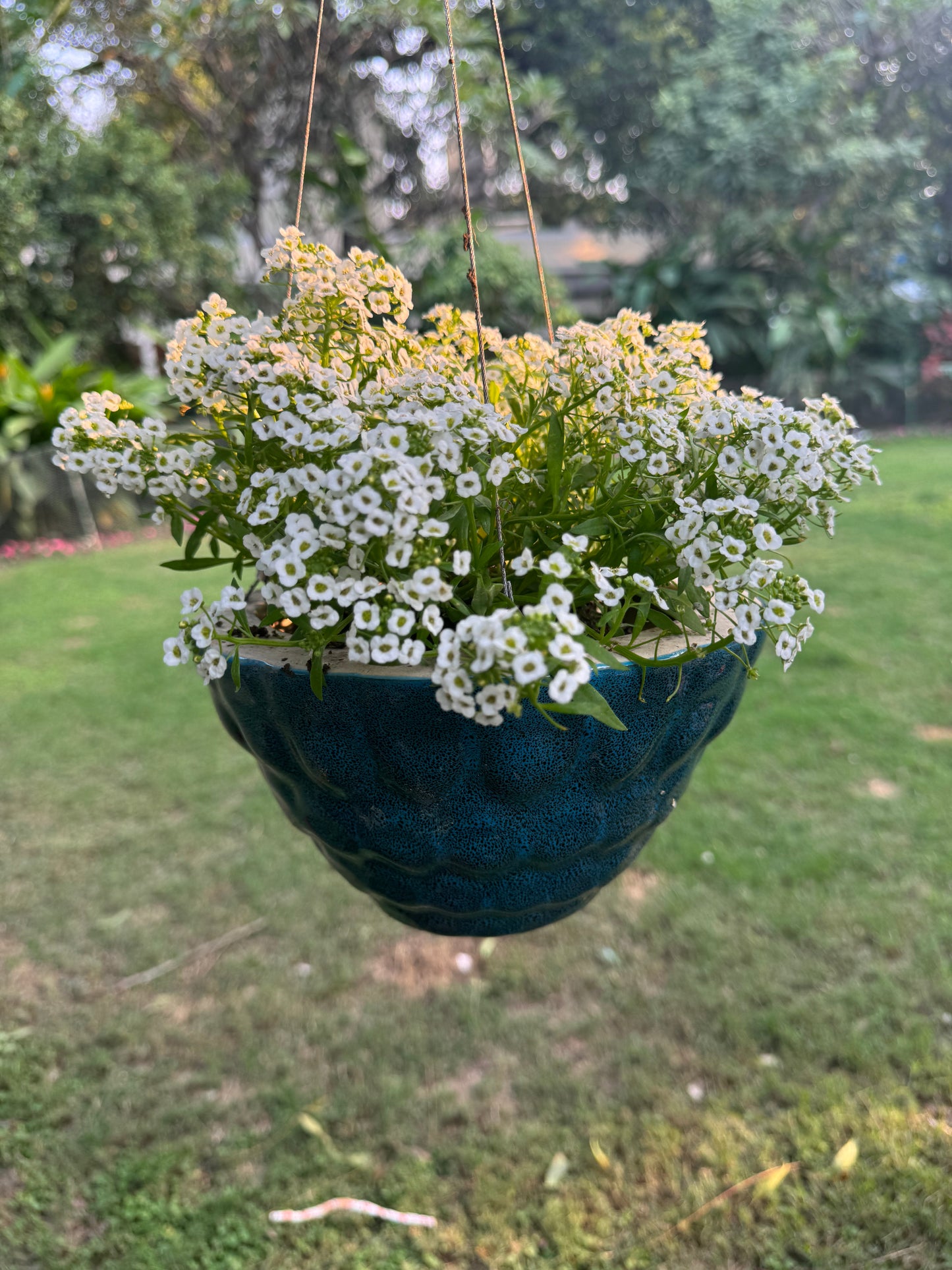 CERAMIC HANGING PLANTER POT