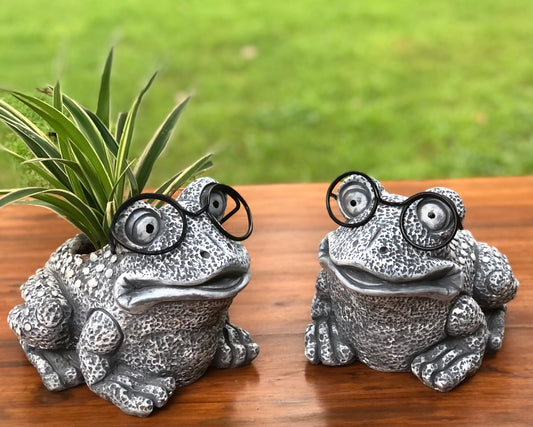 WISE FROG PLANTER FOR HOME GARDEN BALCONY DECOR