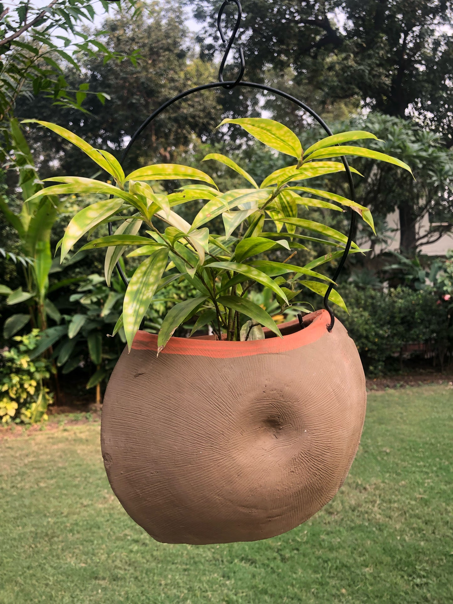 TERRACOTTA HANGING SHELL PLANTER POT HOME GARDEN BALCONY DECOR