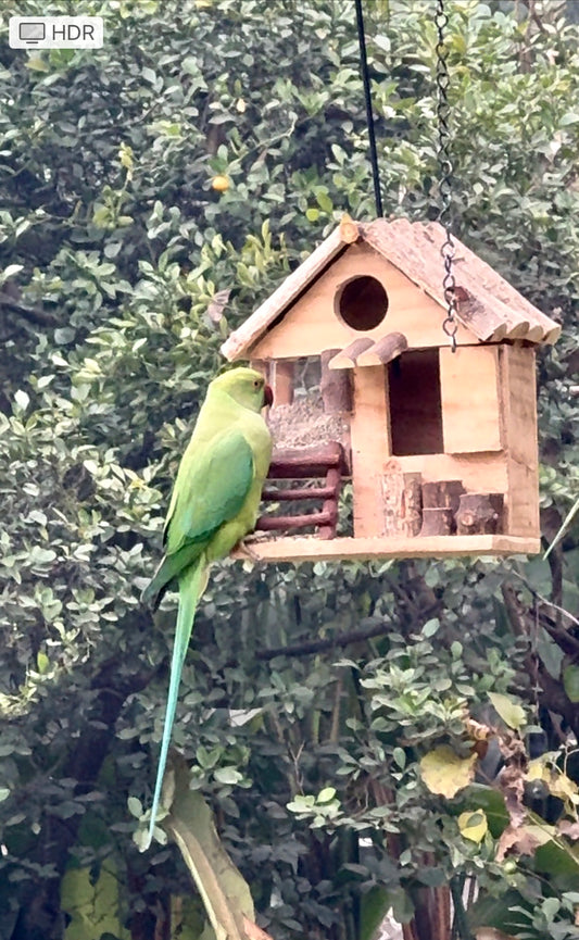 Bird House cum Feeder upper ground floor of Natural Wood Garden Balcony Patio Decor