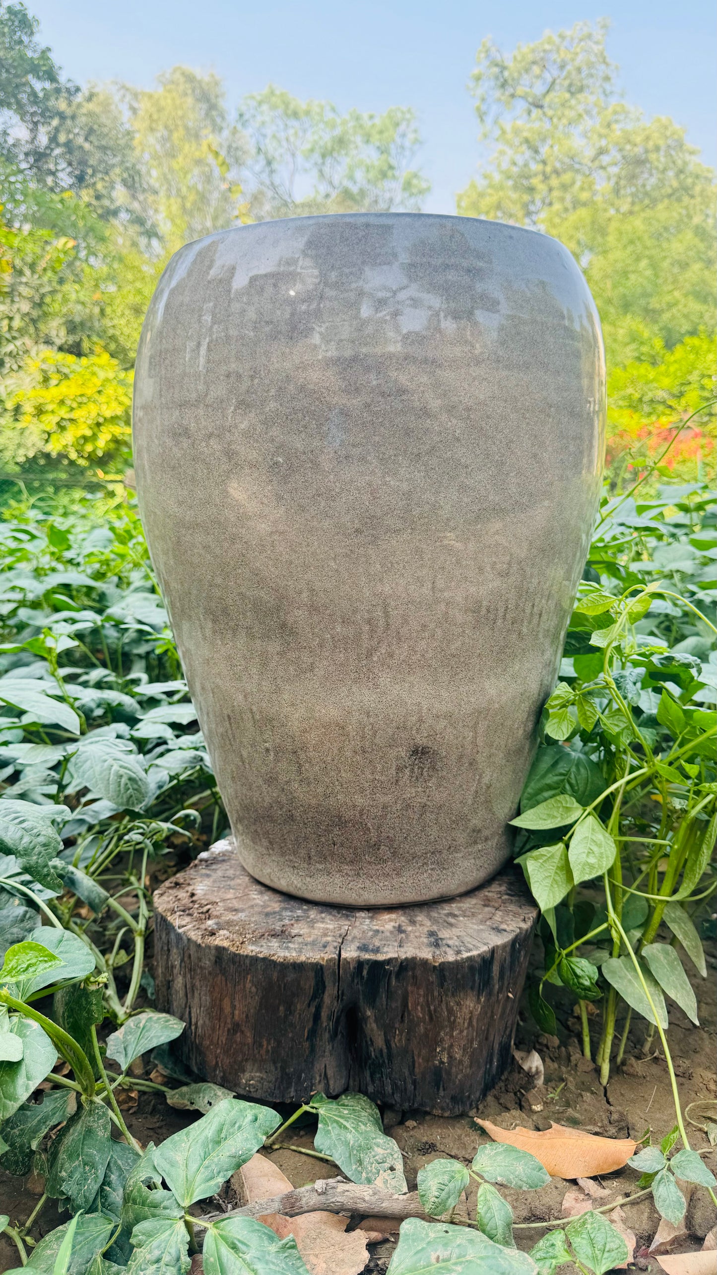 CERAMIC GLAZED BEIGE PLANTER POT FOR HOME GARDEN AND BALCONY DECOR