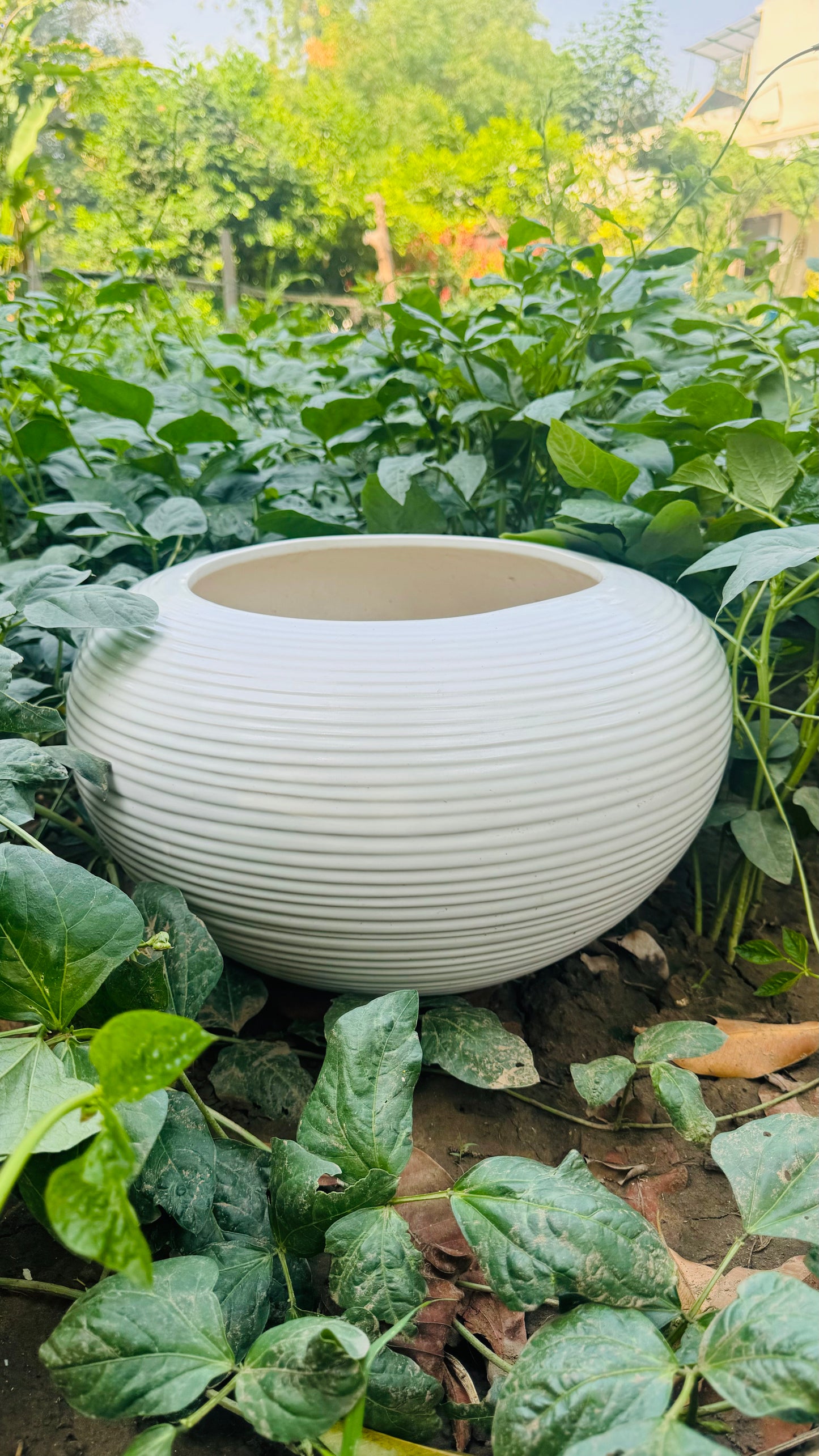 Ceramic Ribbed Planter White Glazed Pot Home Garden Balcony