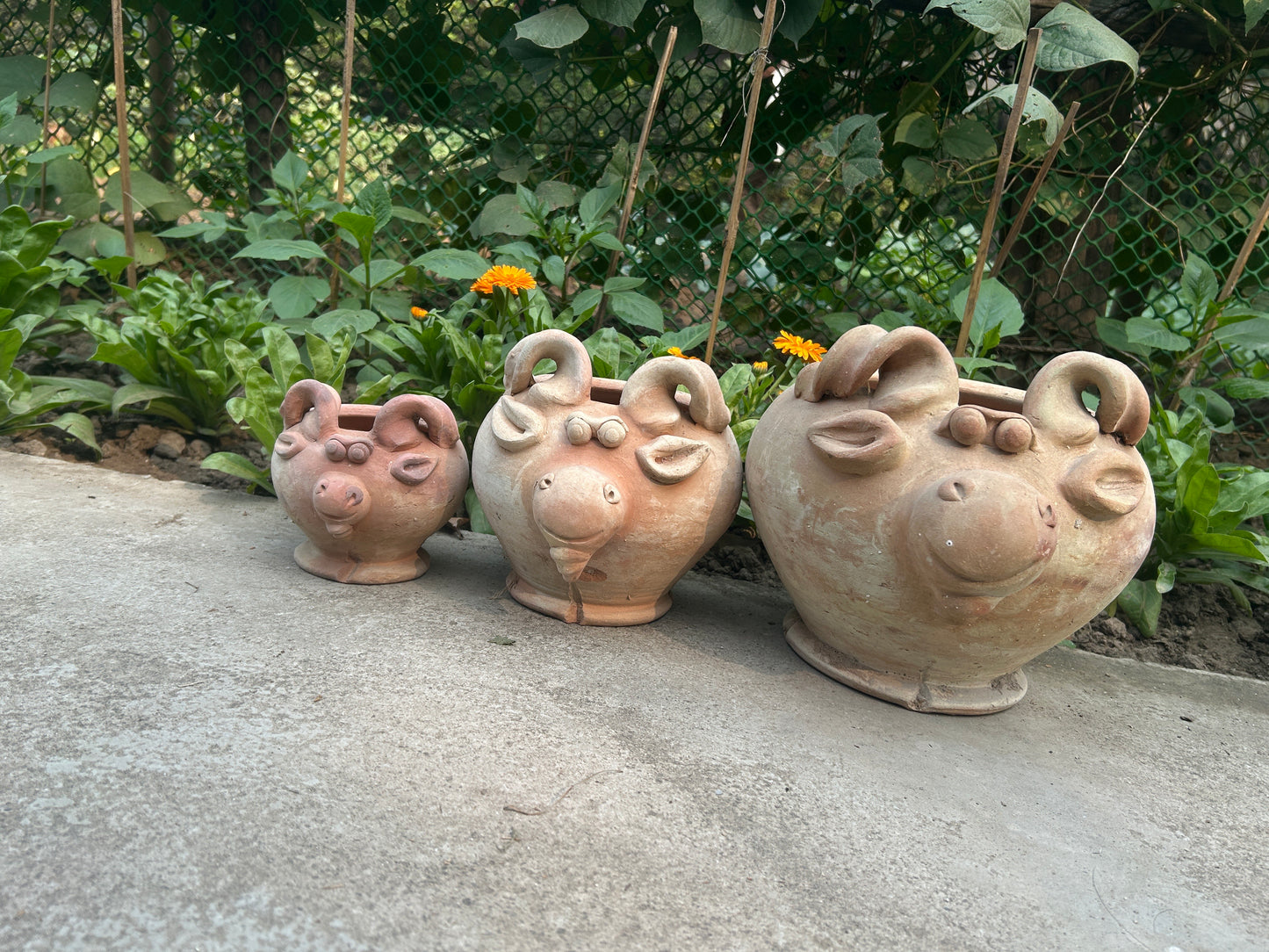 TERRACOTTA RAMS