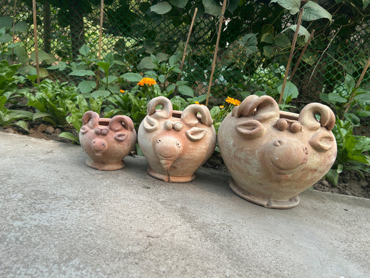 TERRACOTTA RAMS