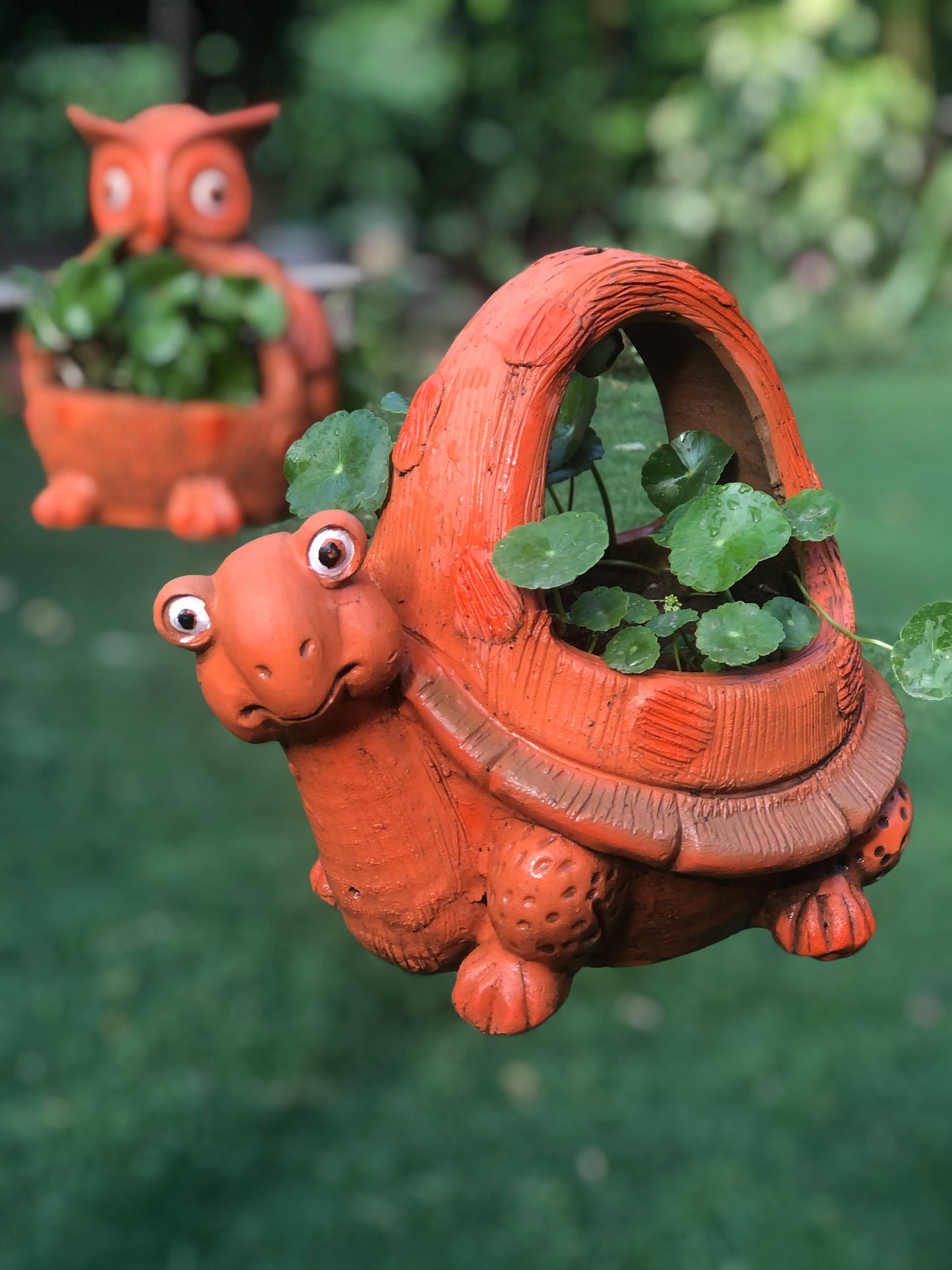 TERRACOTTA HANGING TURTLE PLANTER POT HOME GARDEN BALCONY DECOR