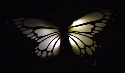 The Butterfly Light