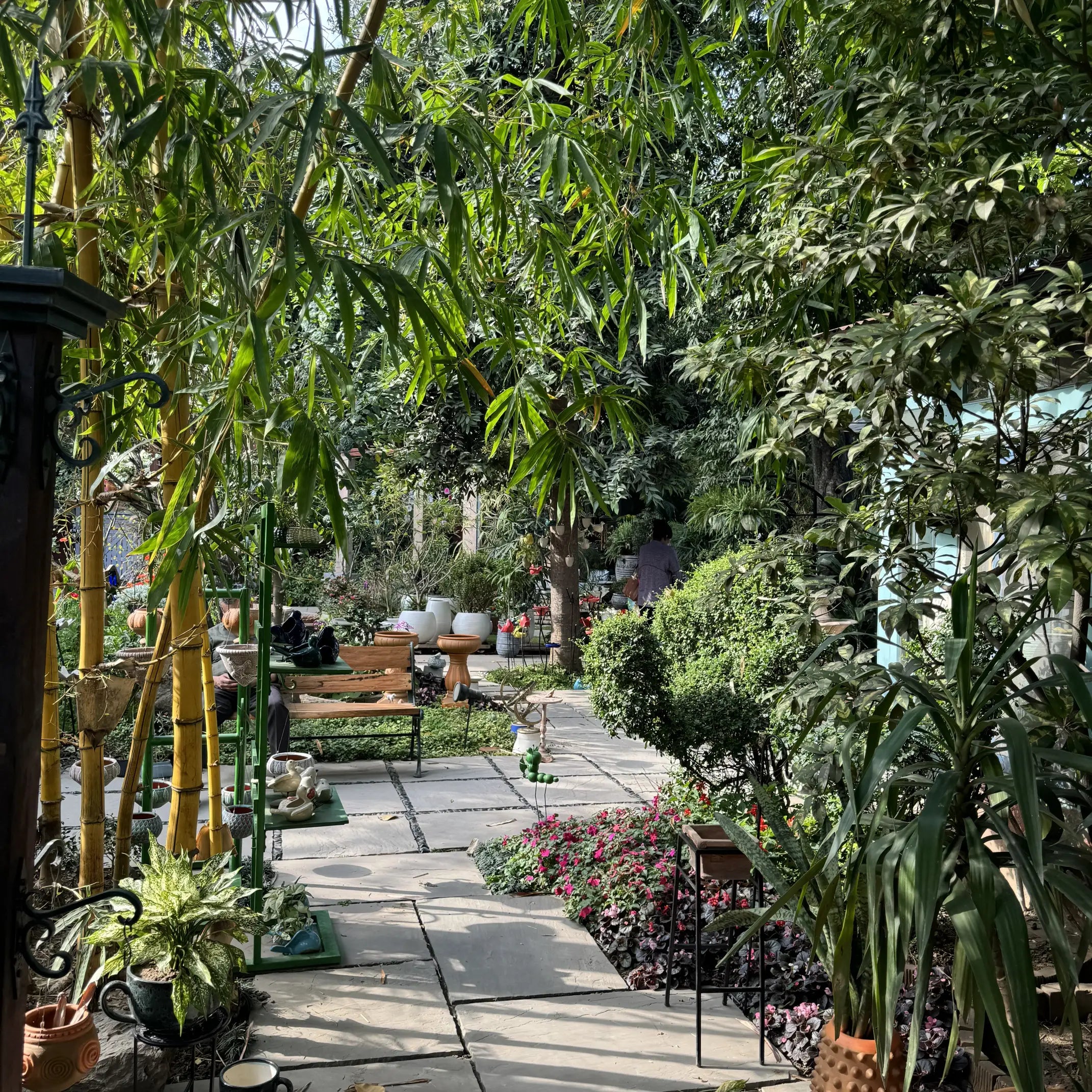 Sondha The Garden Shop