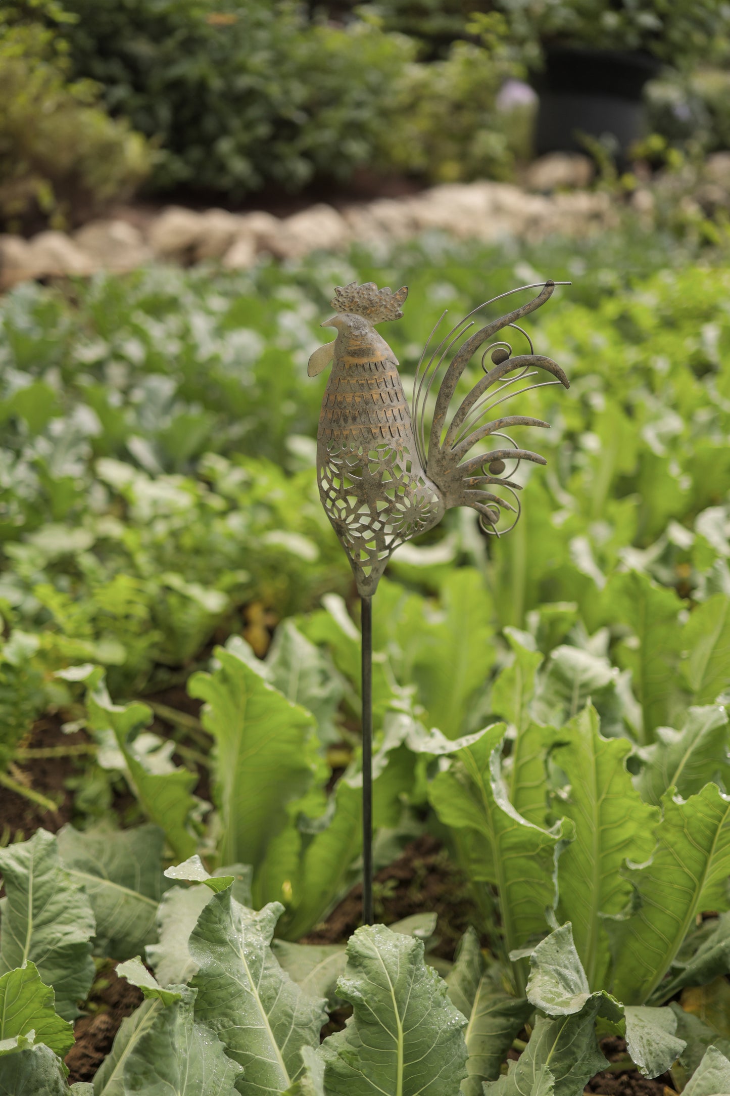 METAL HEN DIGGER FOR GARDEN DECOR