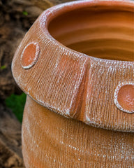 Frog Terracotta Planter with Mushroom