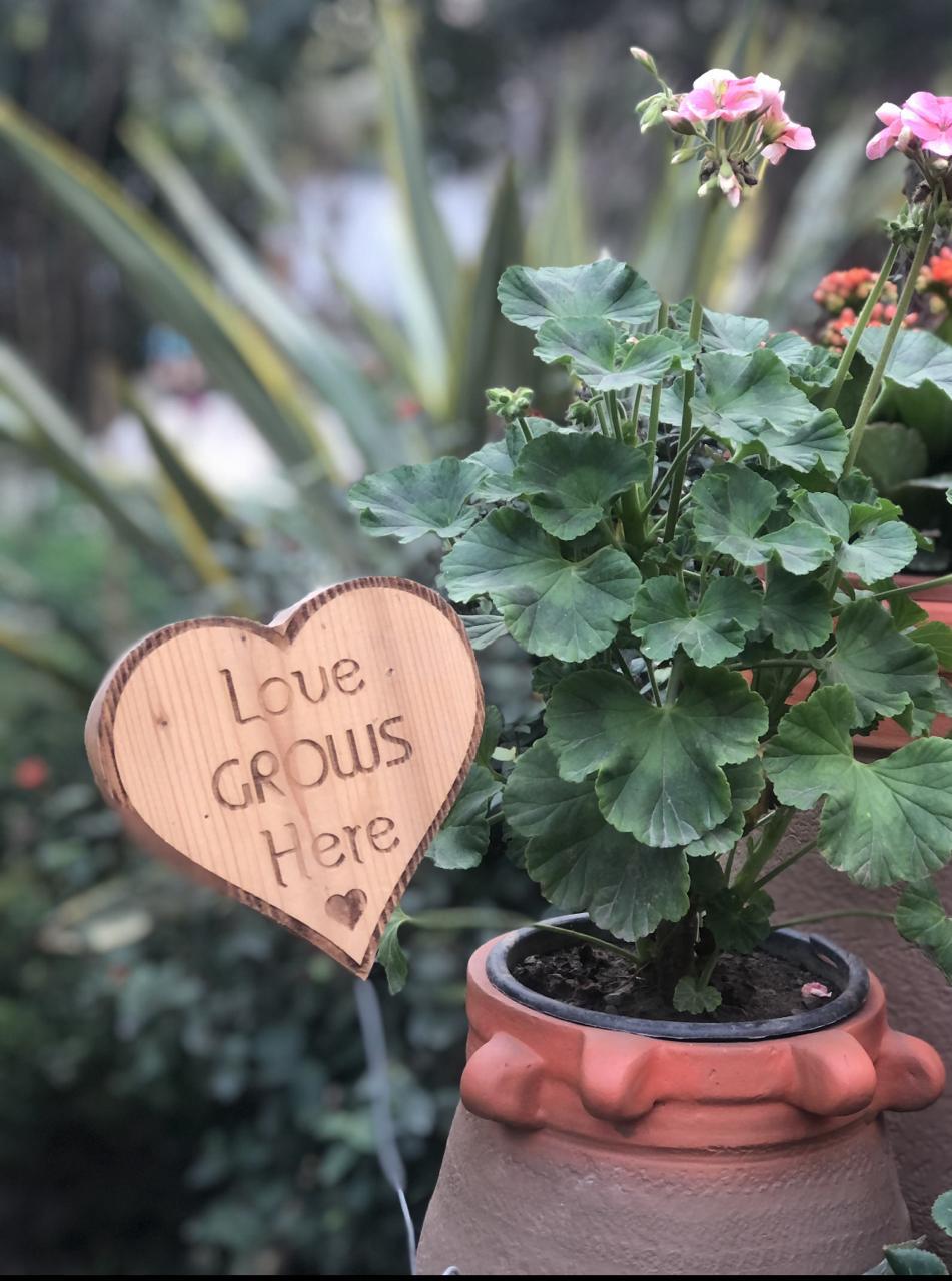 Valentine's Mini Signs