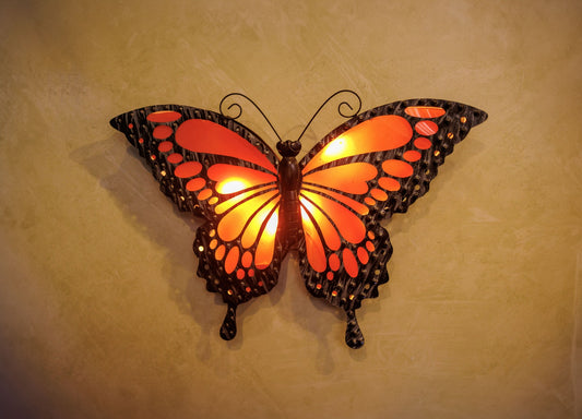 The Butterfly Light Red Color
