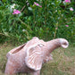 elephant with trunk side