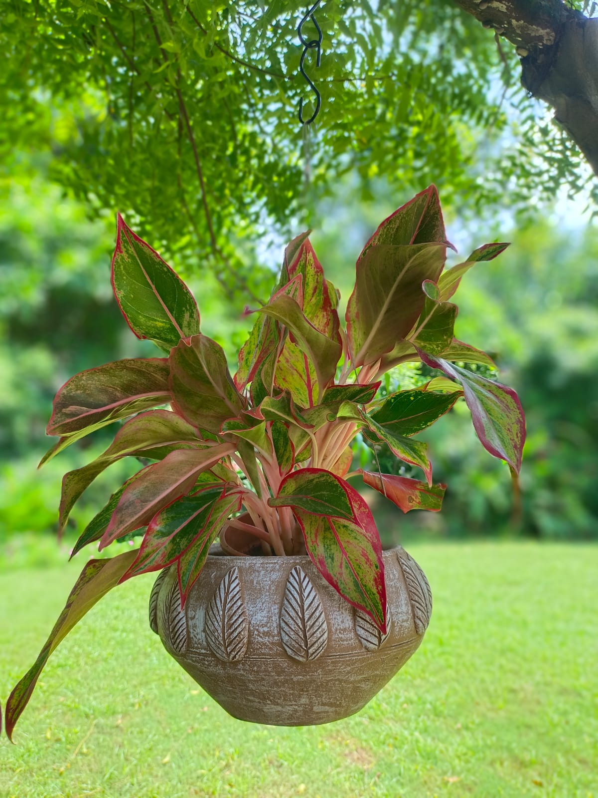 TERRACOTTA PATTI  PLANTER HANGING POT HOME GARDEN BALCONY DECOR