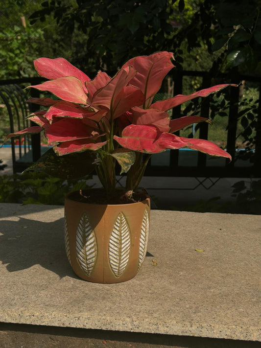 CERAMIC POT WITH LEAF PATTERN