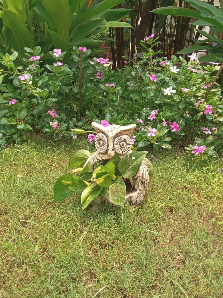 TERRACOTTA HANGING OWL PLANTER POT HOME GARDEN BALCONY DECOR