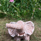 elephant with trunk side