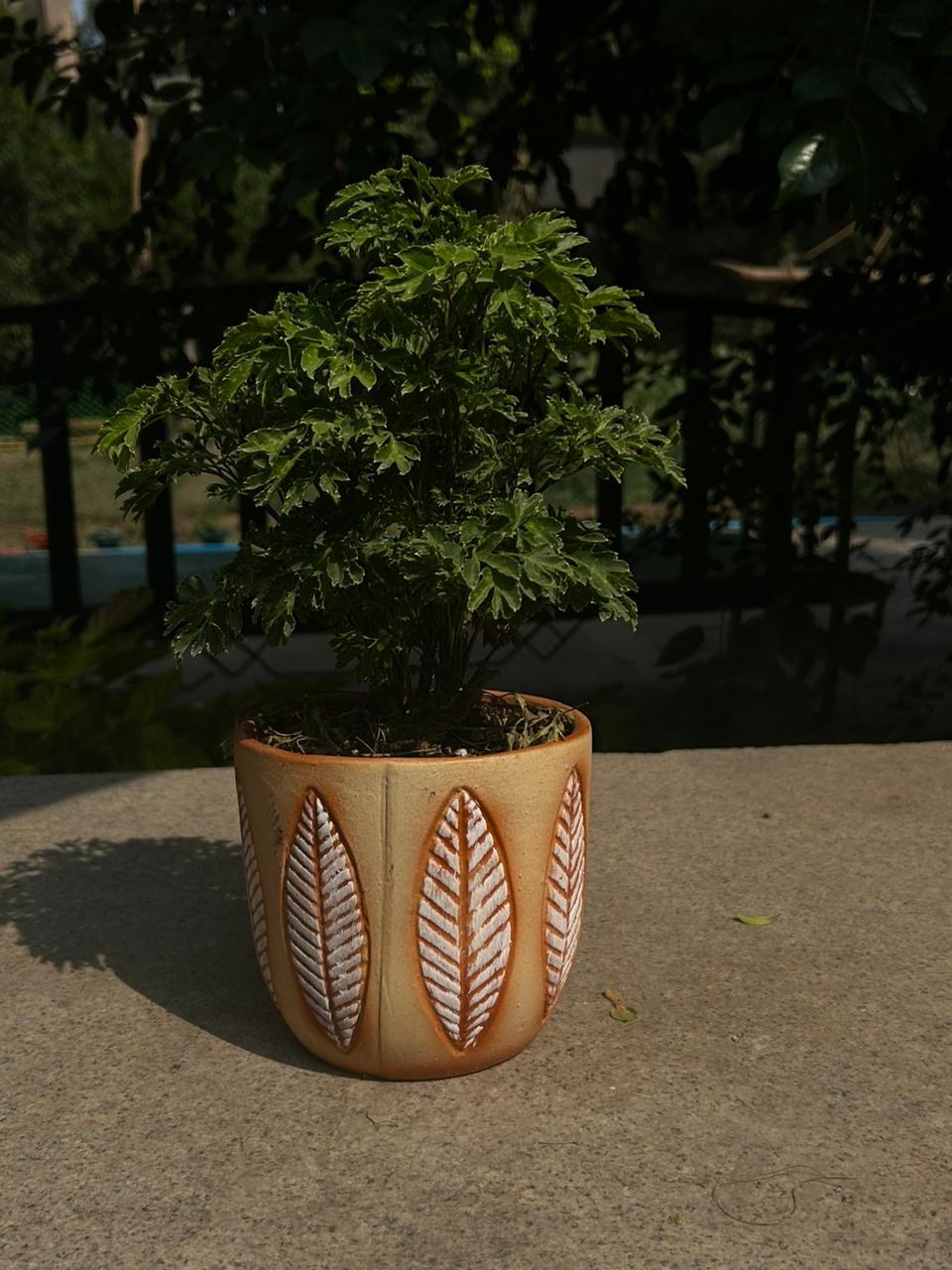 CERAMIC POT WITH LEAF PATTERN