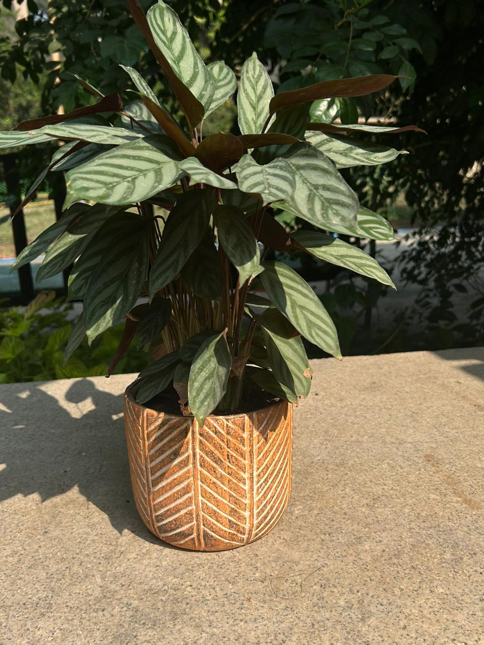 CERAMIC POT WITH ZIGZAG PATTERN