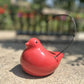 Moti bird