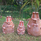 Terracotta Rabbits