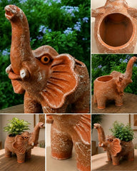 Lucky Elephant Terracotta Planter